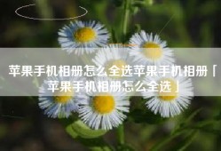 苹果手机相册怎么全选苹果手机相册「苹果手机相册怎么全选」