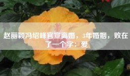 赵丽颖冯绍峰官宣离婚，3年婚姻，败在了一个字：爱