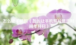 怎么让手机照（怎么让手机照片显示时间年月日）