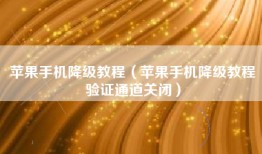 苹果手机降级教程（苹果手机降级教程验证通道关闭）