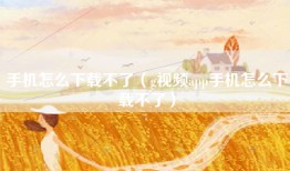 手机怎么下载不了（g视频app手机怎么下载不了）