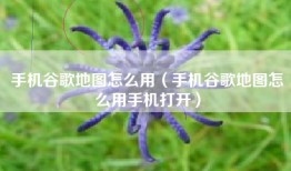 手机谷歌地图怎么用（手机谷歌地图怎么用手机打开）