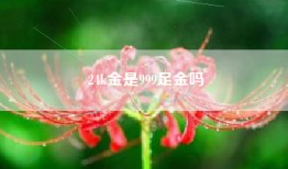 24k金是999足金吗