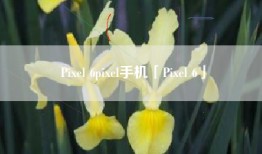 Pixel 6pixel手机「Pixel 6」