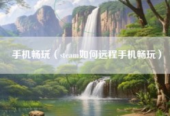 手机畅玩（steam如何远程手机畅玩）