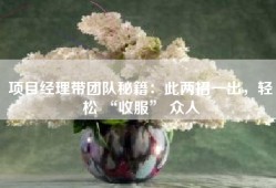 项目经理带团队秘籍：此两招一出，轻松 “收服” 众人