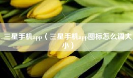 三星手机app（三星手机app图标怎么调大小）
