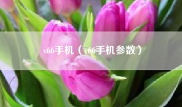 v66手机（v66手机参数）