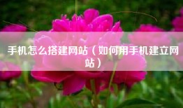 手机怎么搭建网站（如何用手机建立网站）
