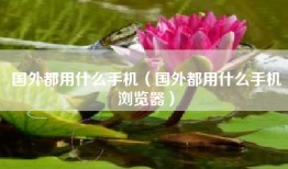 国外都用什么手机（国外都用什么手机浏览器）