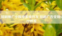 短剧推广小程序系统开发 短剧广告变现APP开发