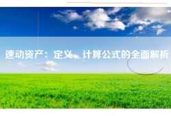 速动资产：定义、计算公式的全面解析