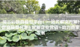 微三云数商模型平台：一站式解决方案！数商模型分享+赋能企业营销+助力商家发展