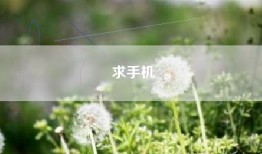 求手机