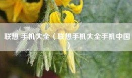 联想 手机大全（联想手机大全手机中国）