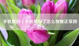 手机黑白（手机黑白了怎么恢复正常颜色）