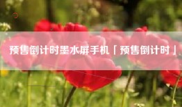 预售倒计时墨水屏手机「预售倒计时」