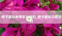 橙子建站是哪家公司的_橙子建站百度百科