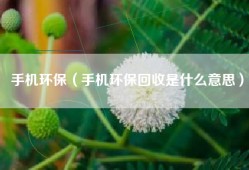 手机环保（手机环保回收是什么意思）