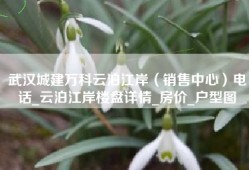武汉城建万科云泊江岸（销售中心）电话_云泊江岸楼盘详情_房价_户型图