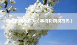 手机利润有多大（手机利润很高吗）