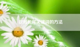挖掘长尾关键词的方法