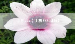 手机aka（手机AKA-AL10）