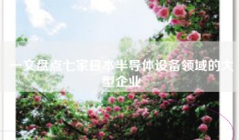 一文盘点七家日本半导体设备领域的大型企业
