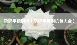 杂牌手机刷机（杂牌手机刷机包大全）