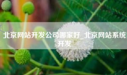 北京网站开发公司哪家好_北京网站系统开发