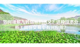 如何理解九转指标的含义？这种技术分析工具在交易中有何应用？
