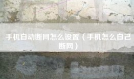 手机自动断网怎么设置（手机怎么自己断网）