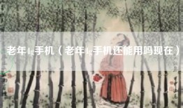 老年4g手机（老年4g手机还能用吗现在）