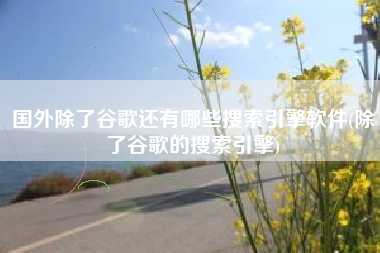 国外除了谷歌还有哪些搜索引擎软件(除了谷歌的搜索引擎)