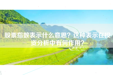 股票指数表示什么意思？这种表示在投资分析中有何作用？