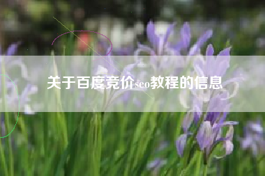 关于百度竞价seo教程的信息