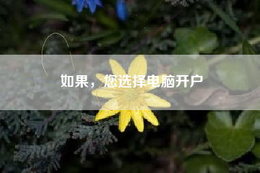 如果，您选择电脑开户