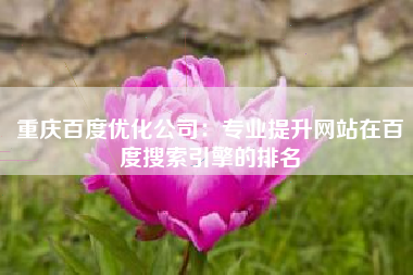 重庆百度优化公司：专业提升网站在百度搜索引擎的排名