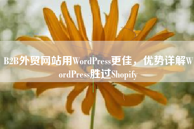 B2B外贸网站用WordPress更佳，优势详解WordPress胜过Shopify