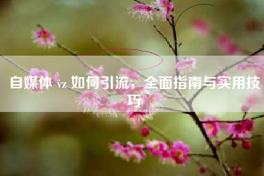 自媒体 vz 如何引流，全面指南与实用技巧