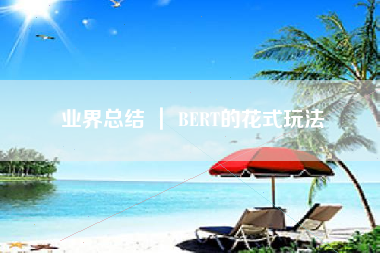 业界总结 ｜ BERT的花式玩法