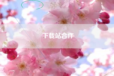 下载站合作