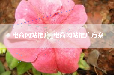 电商网站推广_电商网站推广方案