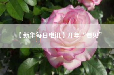 【新华每日电讯】开年“看见”