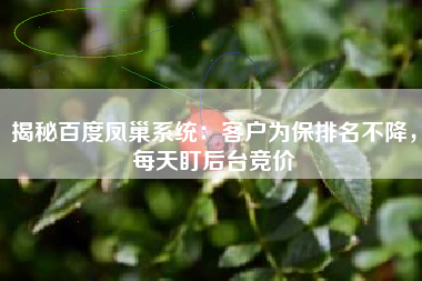 揭秘百度凤巢系统：客户为保排名不降，每天盯后台竞价
