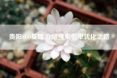 贵阳SEO基础,介绍搜索引擎优化之路
