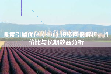 搜索引擎优化（SEO）投资回报解析，性价比与长期效益分析