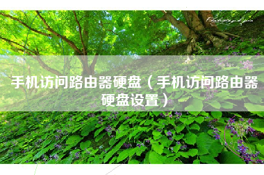 手机访问路由器硬盘（手机访问路由器硬盘设置）