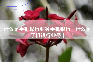 什么是手机银行业务手机银行「什么是手机银行业务」