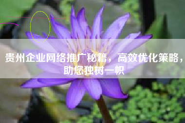 贵州企业网络推广秘籍，高效优化策略，助您独树一帜